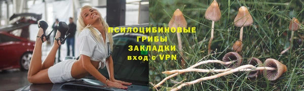 трава Новокубанск