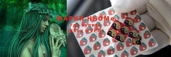 прущие крисы Новозыбков